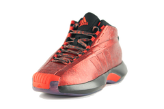Adidas Crazy 1 "Damian Lillard" Autographed
