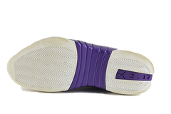 Air Jordan 15 "Ray Allen"