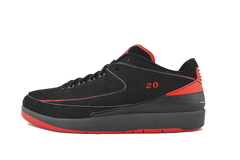 Air Jordan 2 PE "Jared Jeffries"