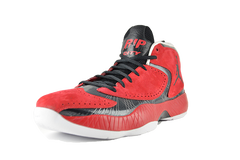 Air Jordan 2012 PE "RIP Hamilton"