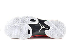 Air Jordan 2012 PE "RIP Hamilton"