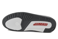 Air Jordan 3 LS "Cool Grey"