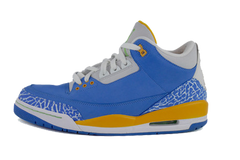Air Jordan 3 "DTRT"