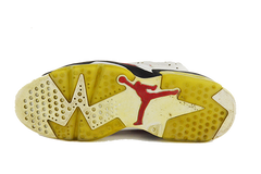 Air Jordan 6 (CDP)