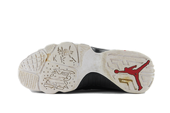 Air Jordan 9 "Playoff"
