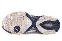 Air Jordan "J Ho" PE