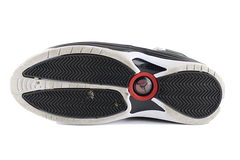 Air Jordan Jumpman Team