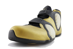 Nike Flightposite 3 "Gold"