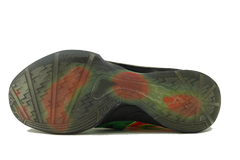 Nike KD 4 "Weatherman"