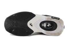 Reebok AI Question IV