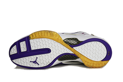 Air Jordan 19 PE "Gary Payton"